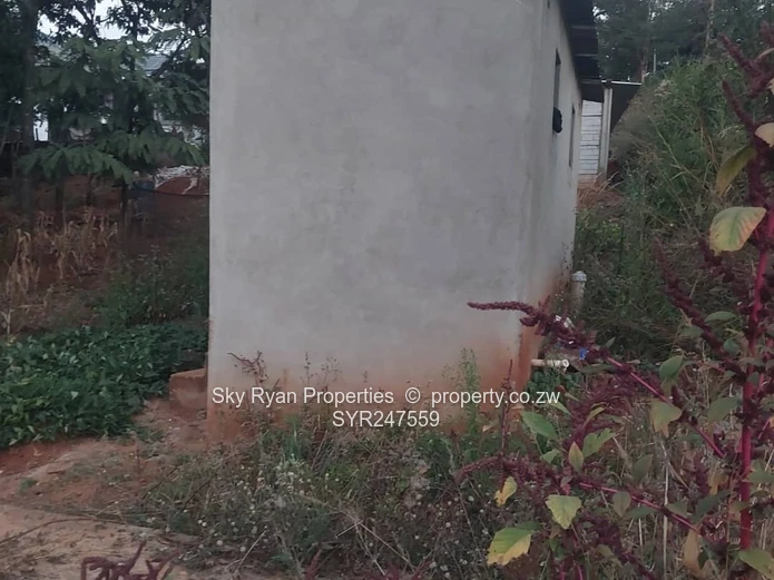 Shawasha Hills Stand For Sale
