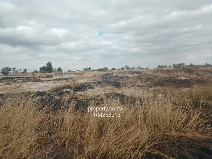 Sunnyside Central Agricultural plot for sale 