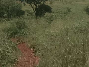 Farm & Agricultural Land