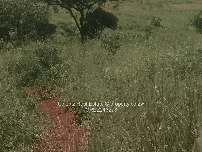 Prime land for sale in Glen Forest 