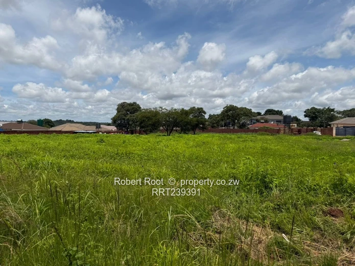 Build your dream home!