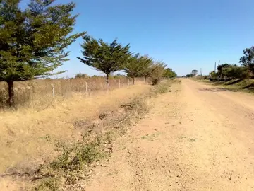 Farm & Agricultural Land