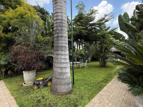3 Bedroom Flat & Apartment