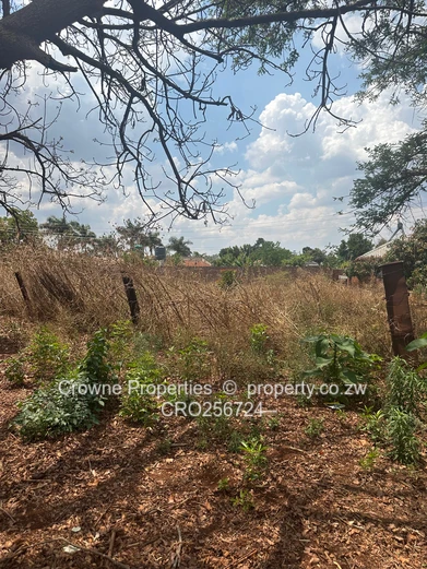 Residential Stand For Sale