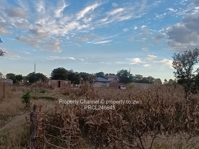 2000 m² Fenced Plot with Road Access in Whitecliff