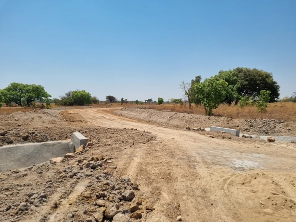 Farm & Agricultural Land