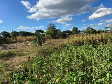 Farm & Agricultural Land