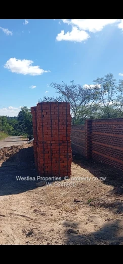 An opportunity not to miss