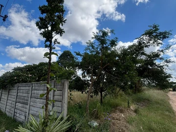 Commercial & Industrial Land