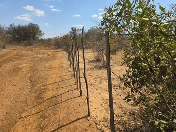 Farm & Agricultural Land