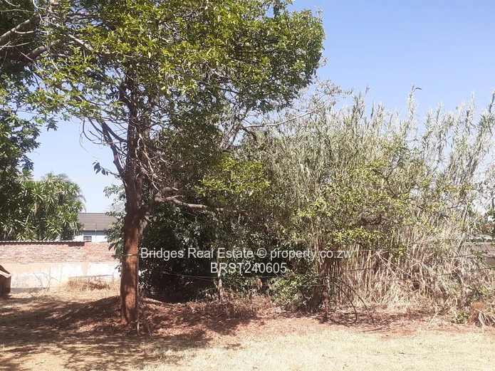 Location ,location ,location 