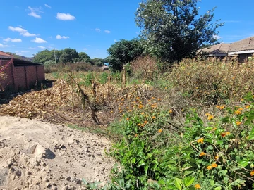 Stands & Residential Land