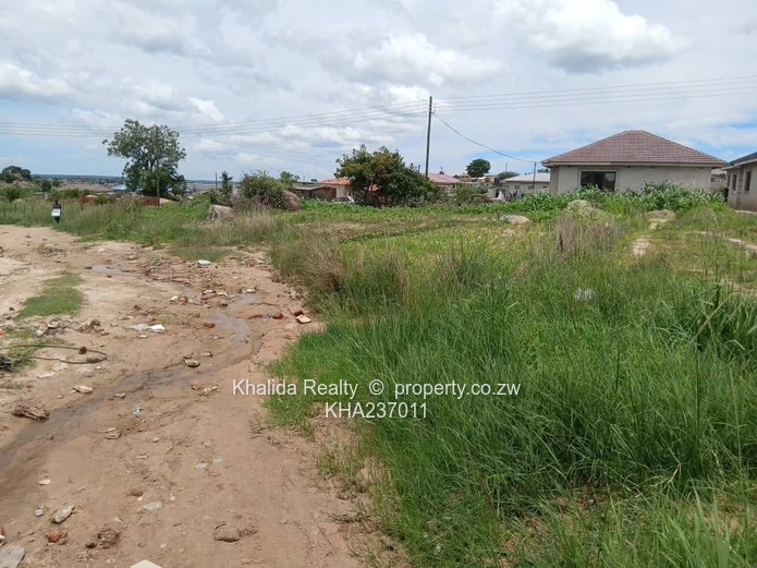 Marondera Rusike stand for sale