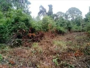 land/holiday home for sale in vumba 