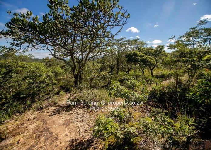 2.1 Ha Vacant Land John Galt Village Nyanga (Sole Mandate)