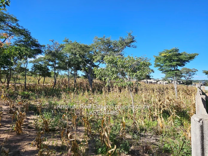 Title deed...Secure 2,330 m² Residential Stand in Roodsflvie Marondera