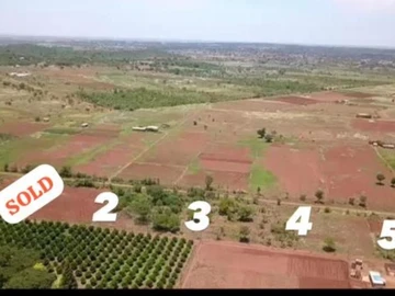 Farm & Agricultural Land