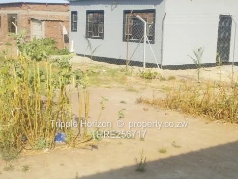 Freshly Painted 2-Bed Dzivarasekwa - fenced 