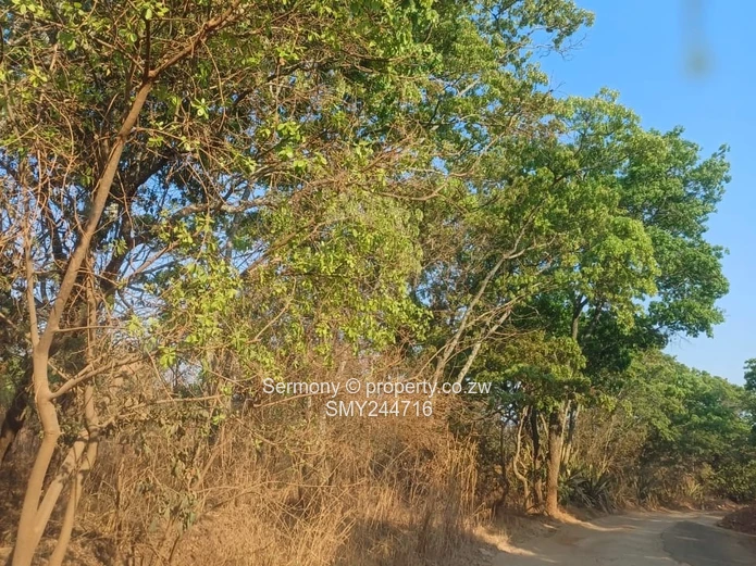 Agro Plot For Sale - Glen Forest