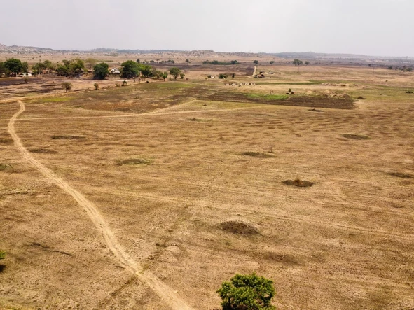 Stands & Residential Land