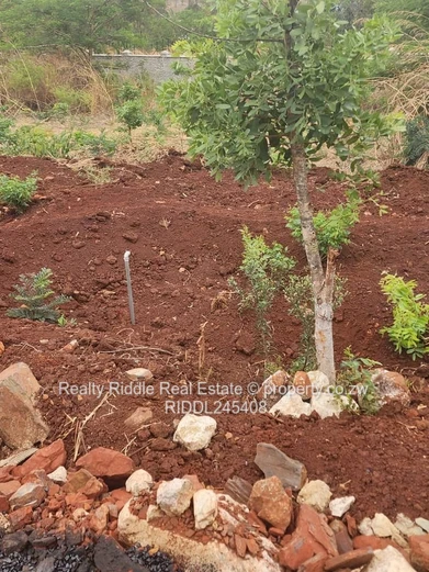 800m² Stand in Brookview - New Tarred Road & Drains