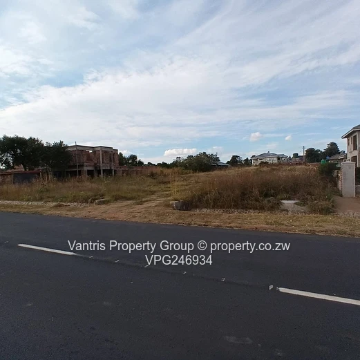 Arlington Estate Stand For Sale