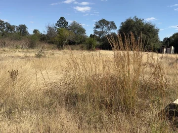 Commercial & Industrial Land