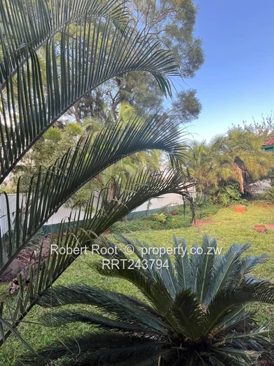 3 bed townhouse in Rhodesville 