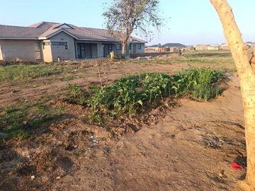 Stands & Residential Land