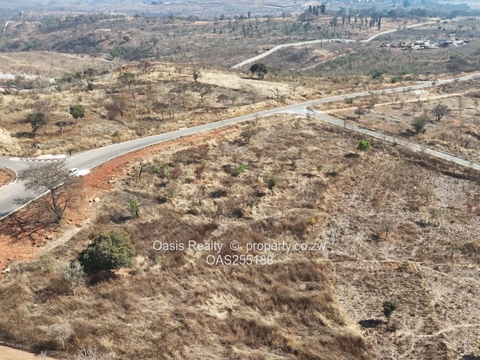 Stand for sale in Pomona Buckland Terraces (Sole Mandate)