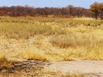 Farm & Agricultural Land