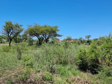 Stands & Residential Land