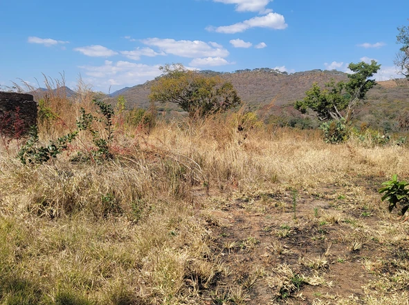 Farm & Agricultural Land