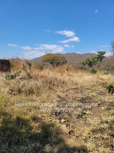 Solid Investment Opportunity Alert! (Sole Mandate)