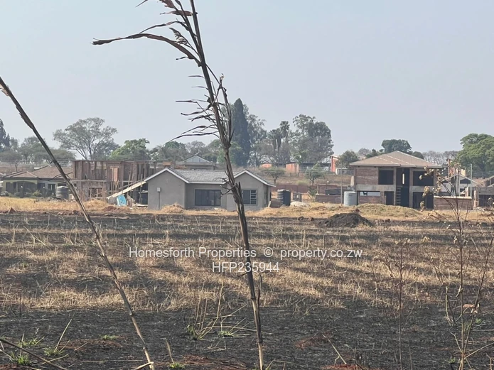 Nyeredzi Ridge stands for sale choice of two.