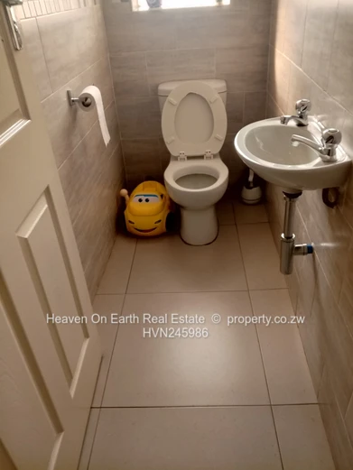 Elegant Home in Springvale with Modernist design 