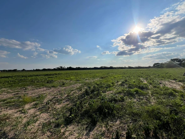 Farm & Agricultural Land