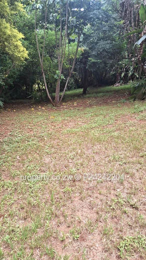 Greystone Park $185K