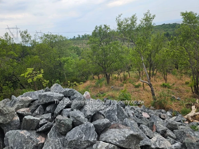Kariba Land Close To The Zambezi (Sole Mandate)