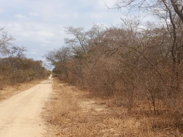 Farm & Agricultural Land