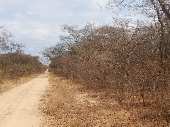 Farm & Agricultural Land