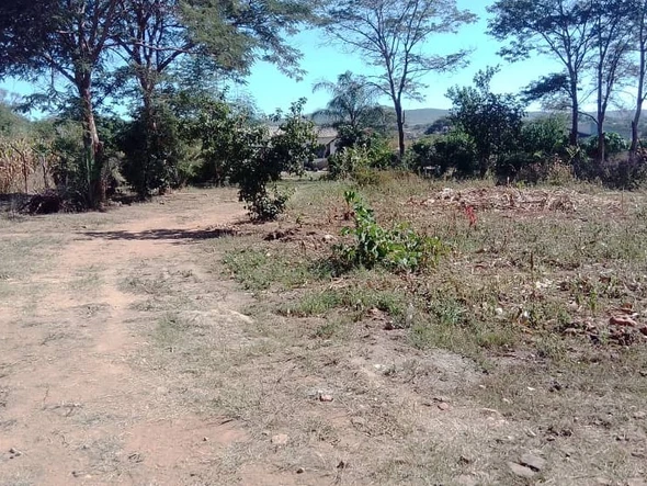 Farm & Agricultural Land