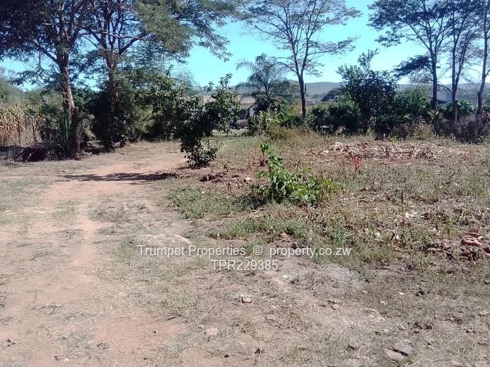 Plots For Sale, Terms Accepted