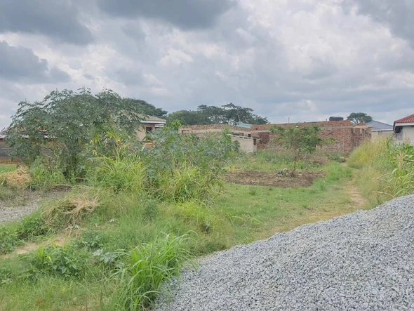 Stands & Residential Land