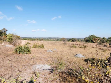 Farm & Agricultural Land