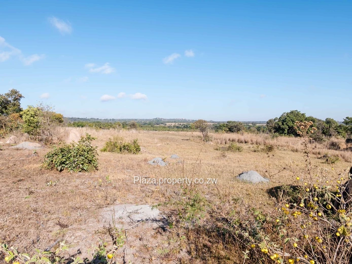Marondera Prime 29-Hectare Farm – An Outstanding Investment Opportunity