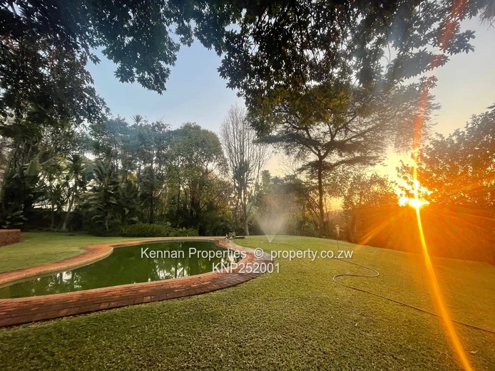  Mandara 8094 square metres for sale - Not to be missed  (Sole Mandate)