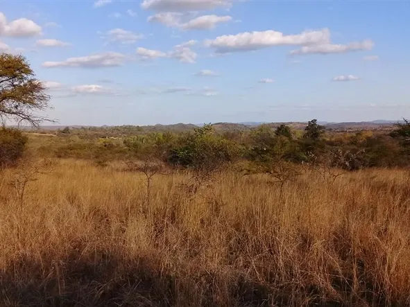 Farm & Agricultural Land