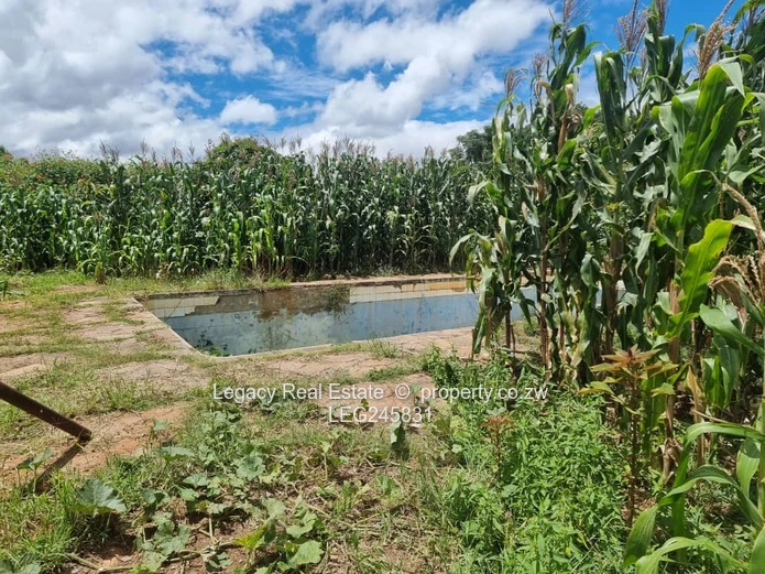 Subdivided Property With Development Potential In Old Marlborough