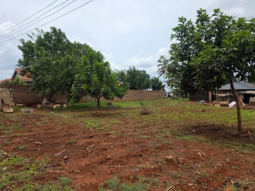 Stands & Residential Land